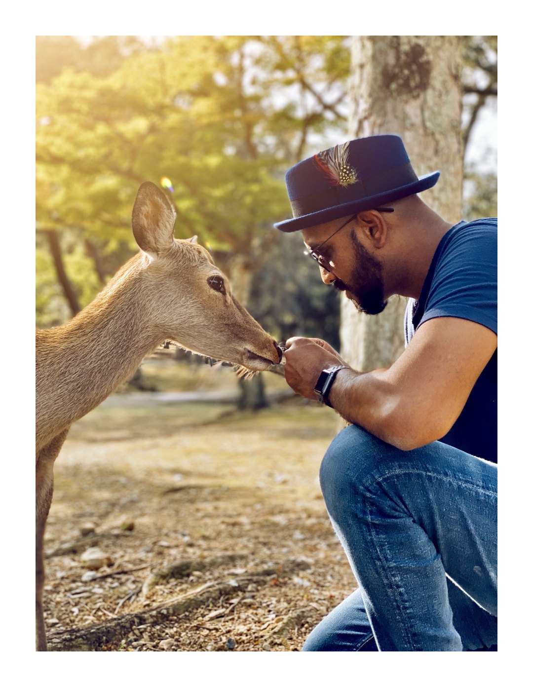 Photo of a man in a navy hat crouching to feed a young deer in warm, dappled light