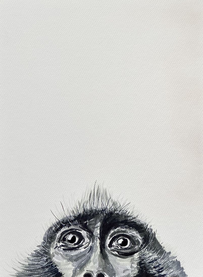 Ink and marker portrait of a monkey's wide eyes peeking up from the bottom of the sheet