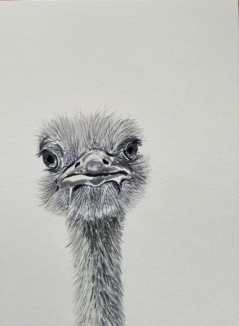 Ink and marker portrait of an ostrich head and long neck, looking straight out