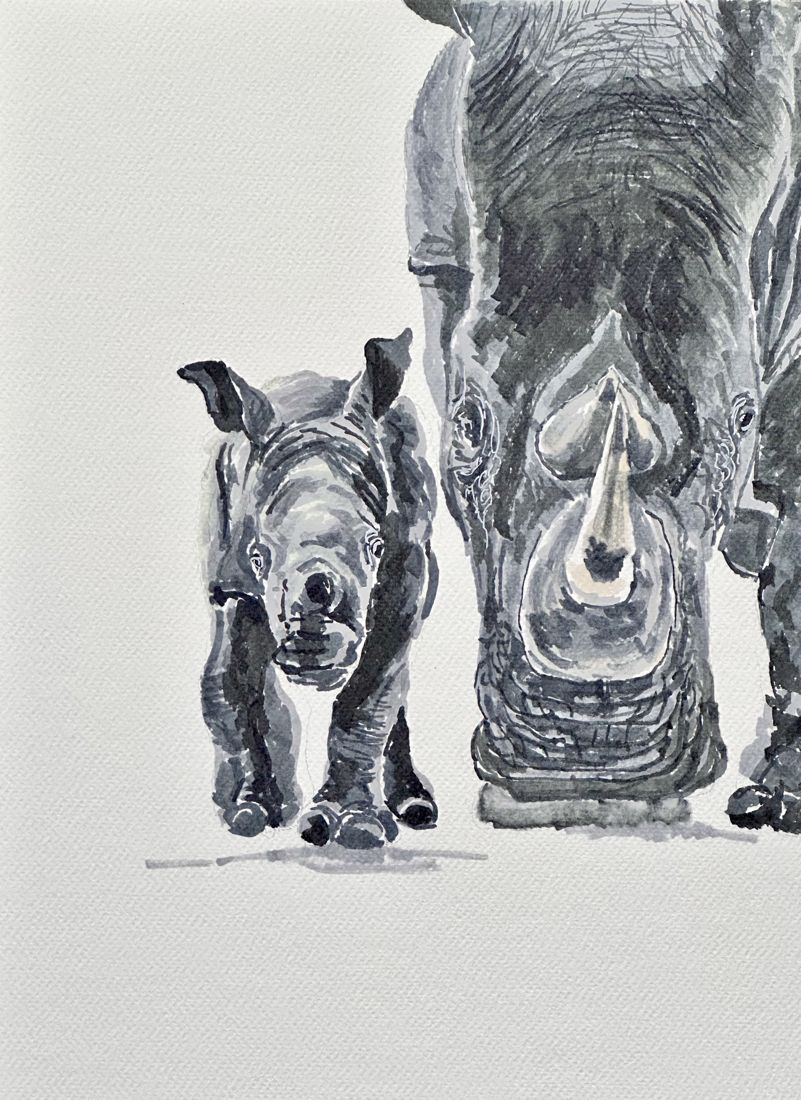 Marker portrait of a rhino calf walking beside its mother, who faces the viewer
