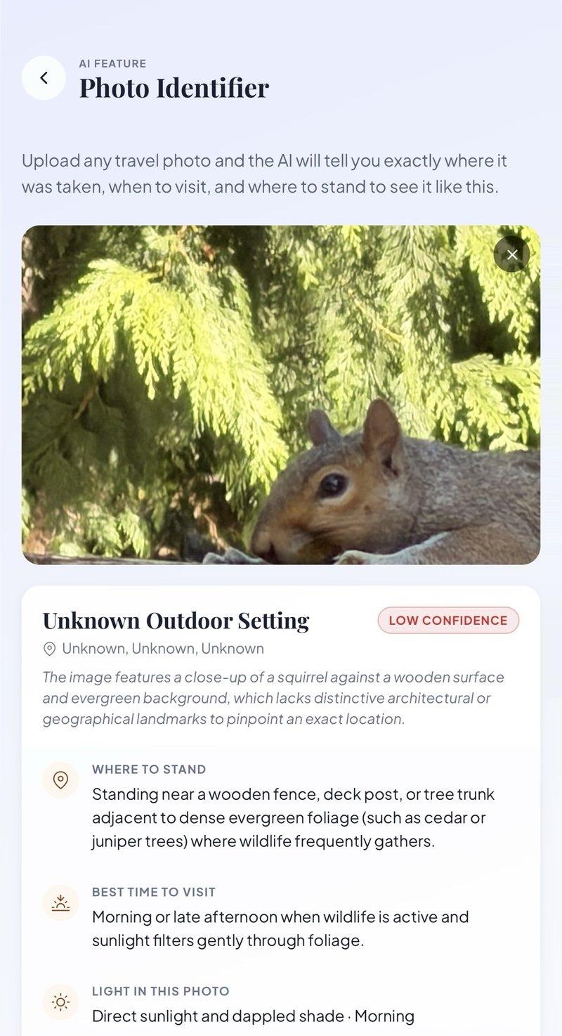 Travelographer Photo Identifier on a phone: a close-up photo of a squirrel that the app marks Low Confidence as an unknown outdoor setting, explaining that the image lacks landmarks to pinpoint an exact location